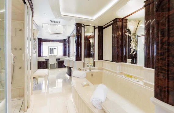 Lioness V - Image 14