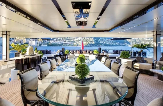 Lioness V - Image 26