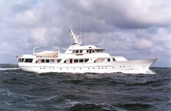 Seagull of Cayman - Image 6