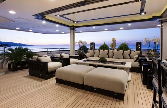 Lioness V - Image 23