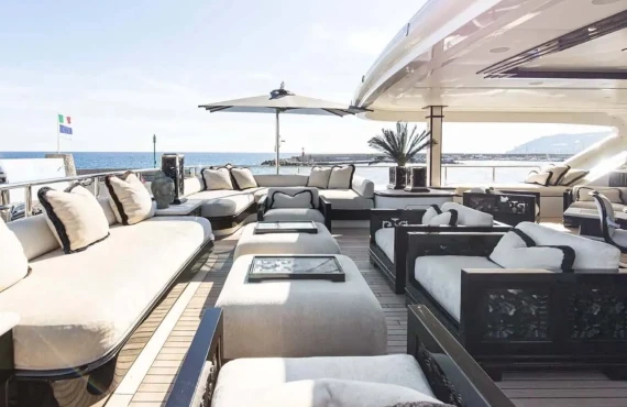 Lioness V - Image 22