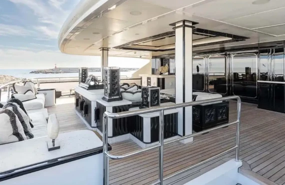 Lioness V - Image 27