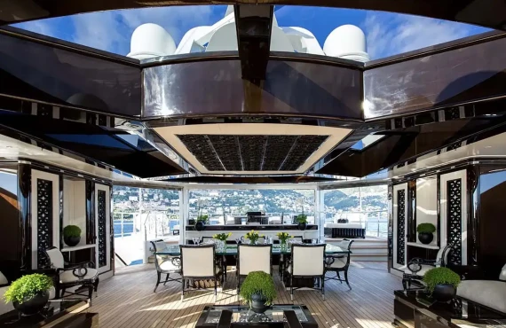 Lioness V - Image 25