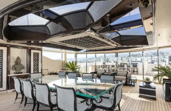 Lioness V - Image 13