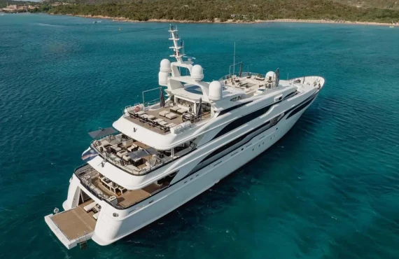 Lioness V - Image 30