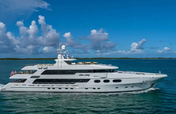 Silver Lining - Image 22