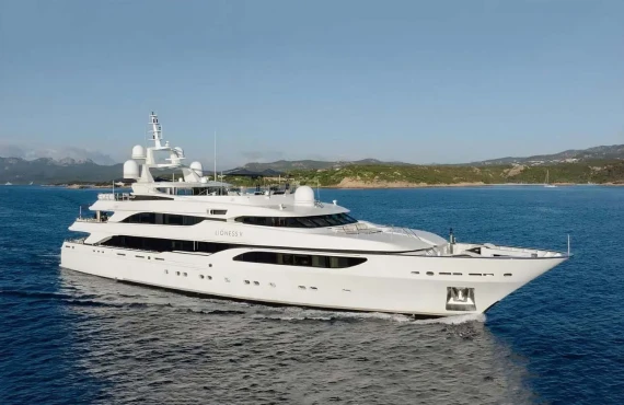 Lioness V - Image 29