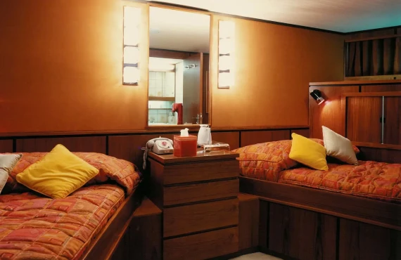 Seagull of Cayman - Image 4