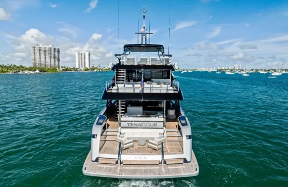 Tenacious - Image 28