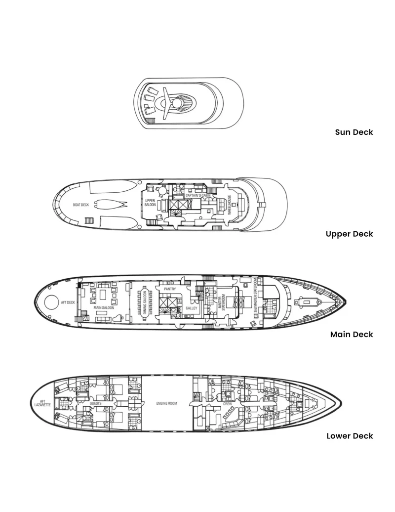 Lady Georgina - Image 5