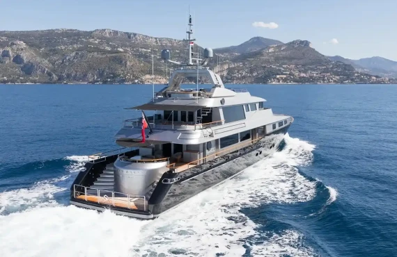 Silver Dream - Image 24