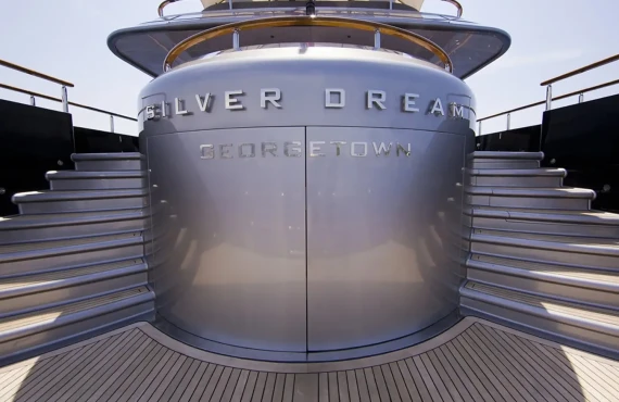 Silver Dream - Image 25