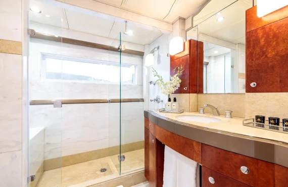 Silver Dream - Image 15