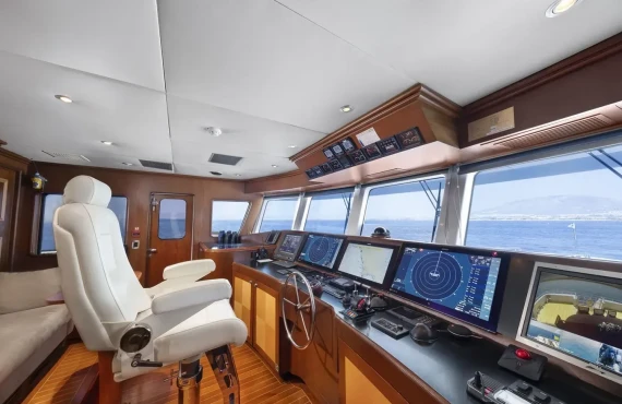 Happy Dolphin II - Image 13