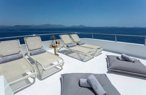 Endless Summer - Image 15