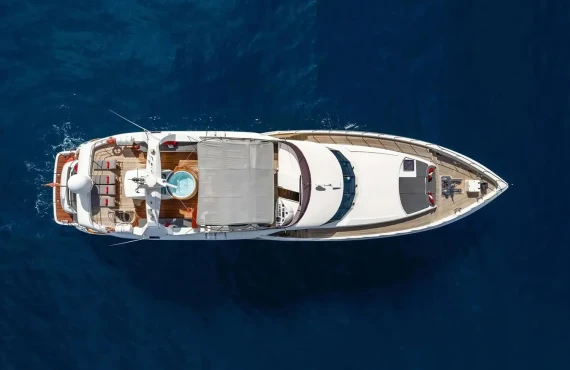 Viking III - Image 17