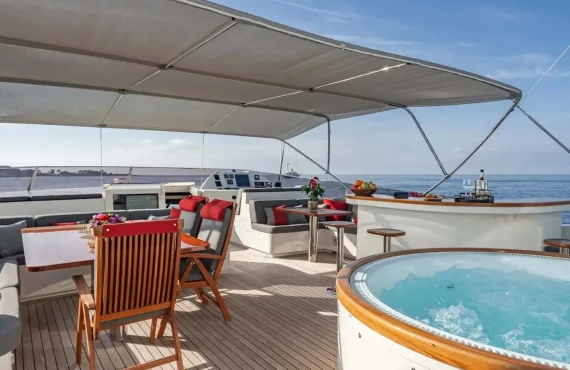 Viking III - Image 14