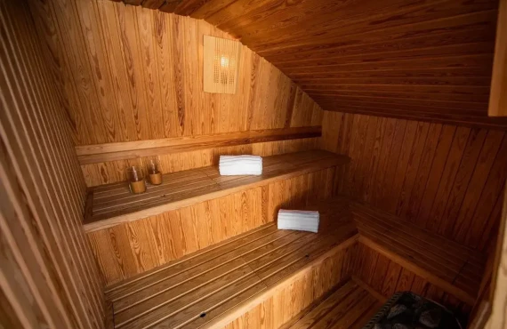 Viking III - Image 10