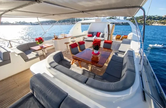 Viking III - Image 15