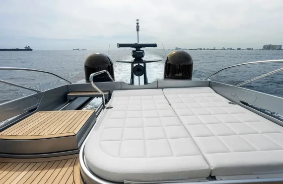 Phoenix Rising - Image 10