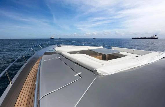 Phoenix Rising - Image 11