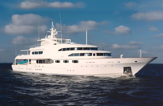 Dancing Hare - Image 3