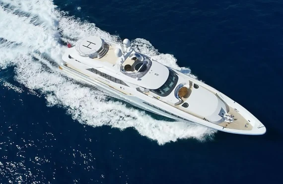 King Louis - Image 15