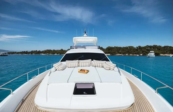 Onyx - Image 16