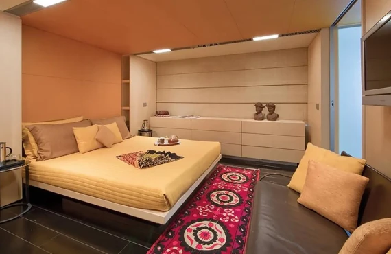 My Falcon - Image 15