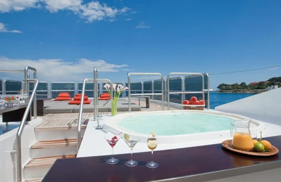 My Falcon - Image 23