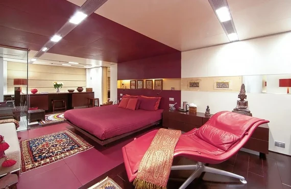 My Falcon - Image 11