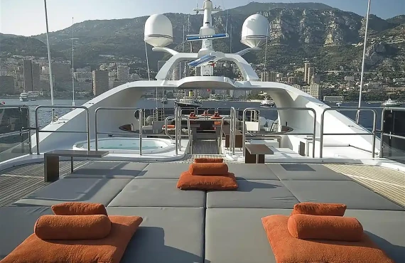 My Falcon - Image 24