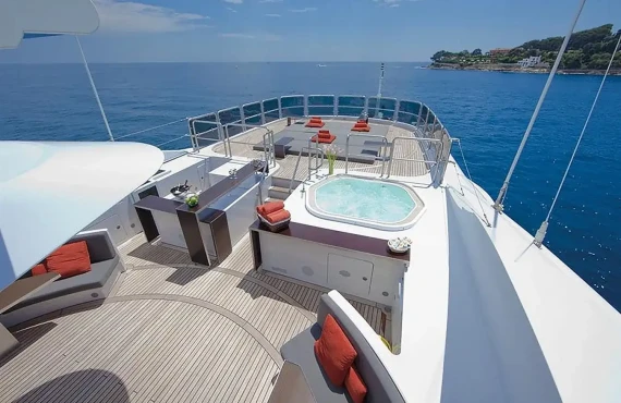 My Falcon - Image 25